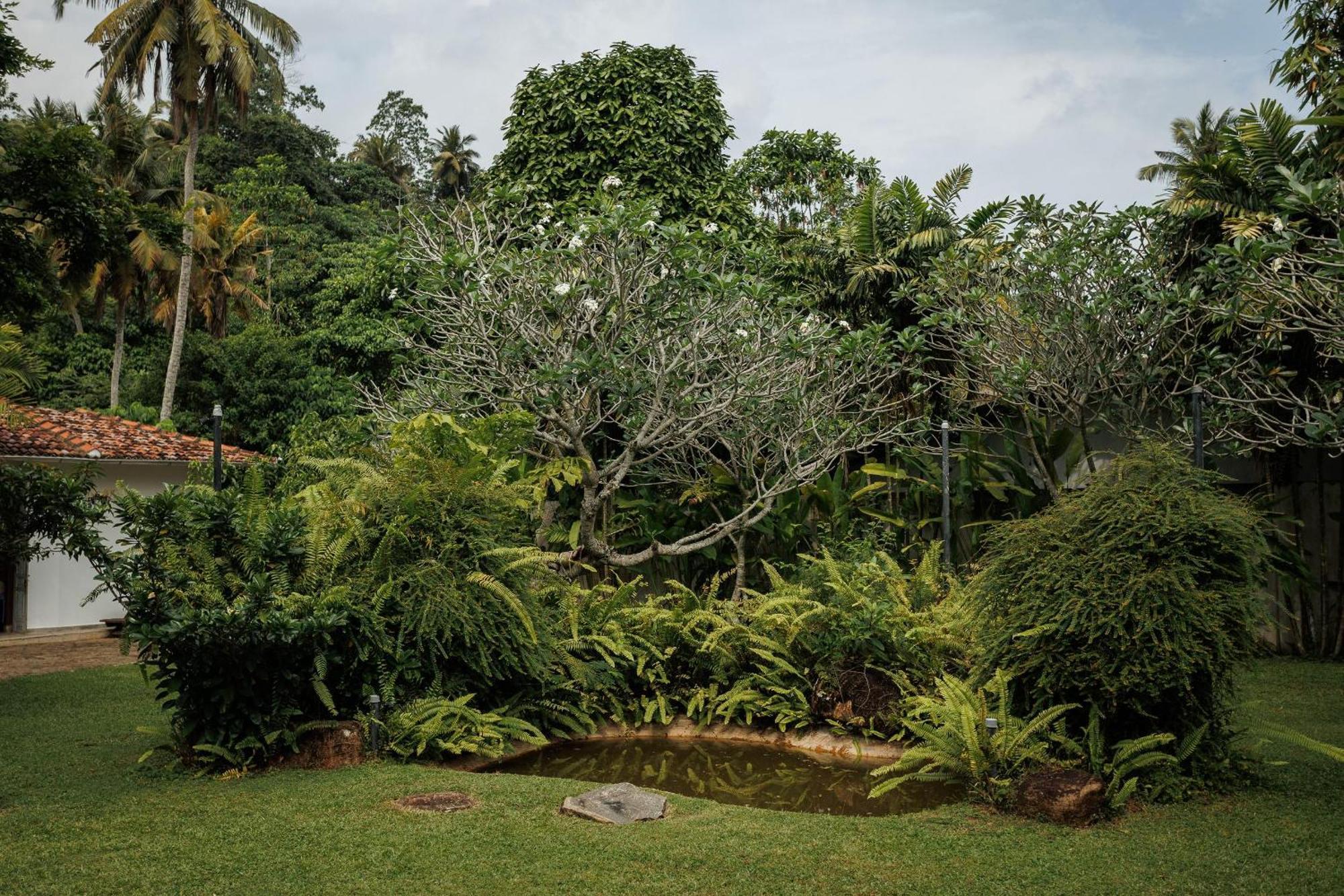 Villa White Queen Galle Exteriér fotografie